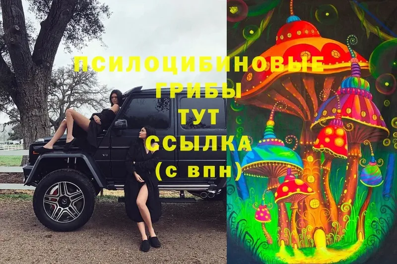 Псилоцибиновые грибы ЛСД  Новодвинск 